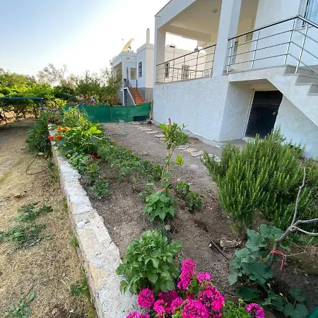 / Yaliciftlik'te Yazlik Ev Bodrum